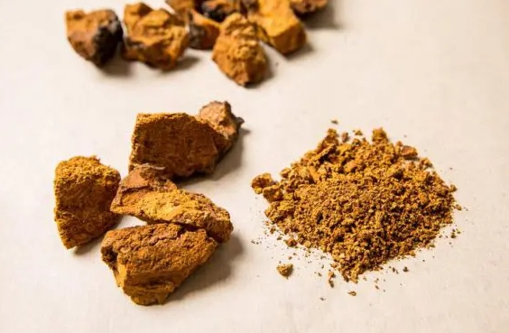 차가버섯, 건강에 미치는 긍정적인 영향과 주의사항