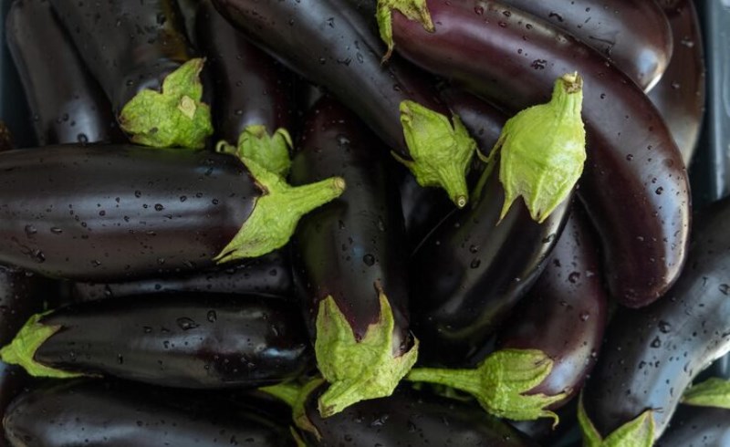 가지 효능과 부작용 9 가지, 작지만 놀라운 효능을 지닌 건강의 보호자