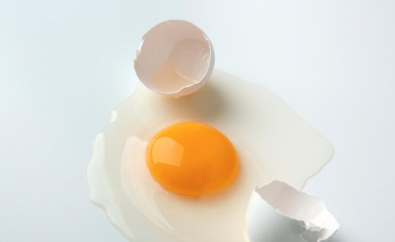 계란 노른자의 영양성분, 건강을 위한 완벽한 선택 7 계란 노른자의 영양성분, 건강을 위한 완벽한 선택