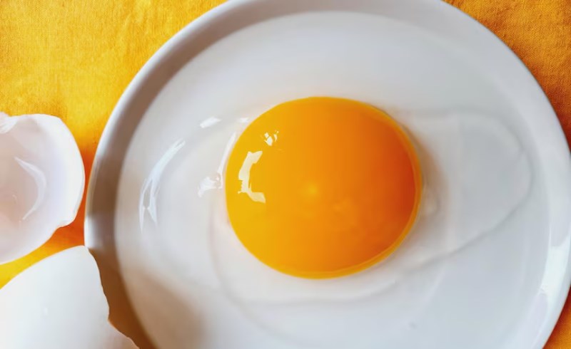 계란 노른자의 영양성분, 건강을 위한 완벽한 선택 8 영양성분과 혈중 콜레스테롤에 대한 최근 연구