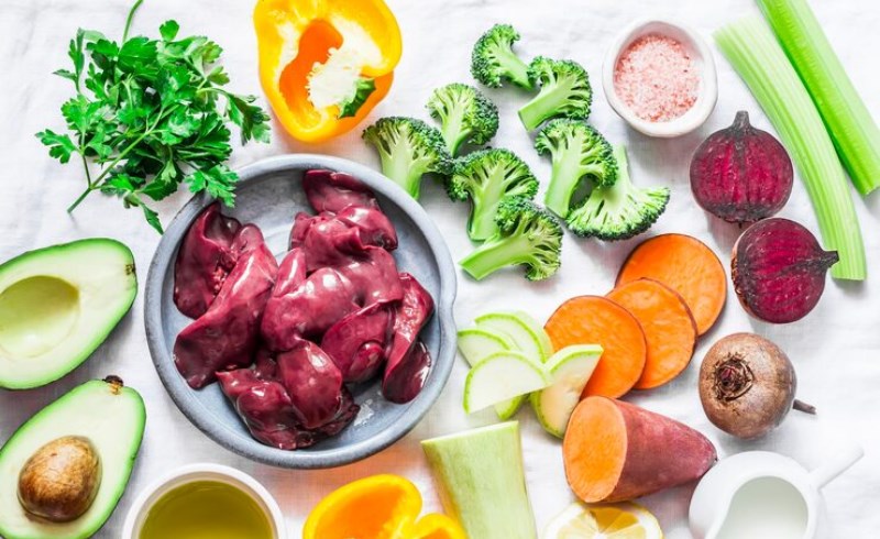 동물의 간에도 필요한 영양소