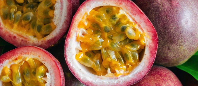 백향과(패션프루트)에 대해서 알아보자 8 백향과(패션프루트)에 대해서 알아보자 7