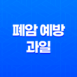 폐암 예방을 위한 과일, 건강한 폐 건강을 위한 3가지 과일 17