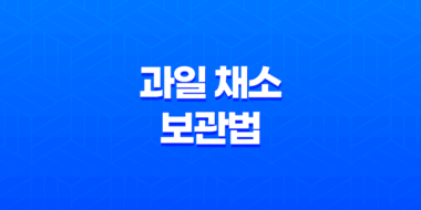 9가지 효과적인 과일 채소 보관법 95