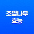 조팝나무의 다양한 효능과 아스피린의 비밀 3