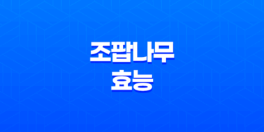 조팝나무의 다양한 효능과 아스피린의 비밀 17