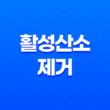 활성산소 제거를 위한 음식 15