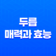 두릅의 매력과 효능 11