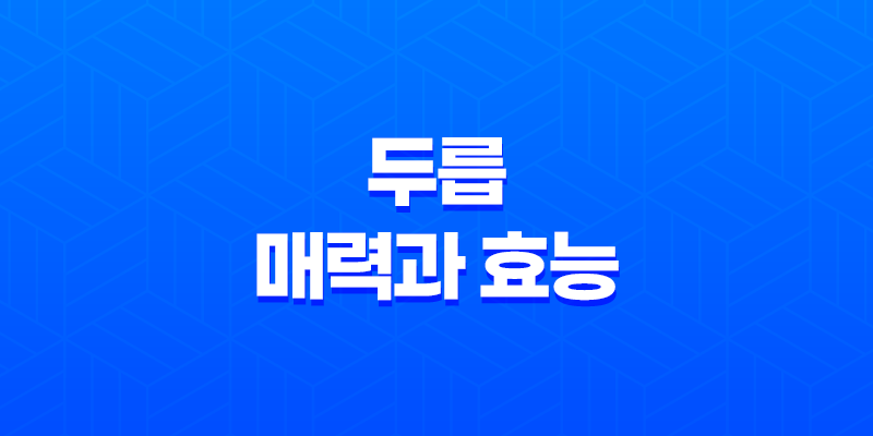 두릅의 매력과 효능 8 두릅의 매력과 효능 7