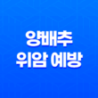 양배추, 위암 예방에 탁월한 음식 17