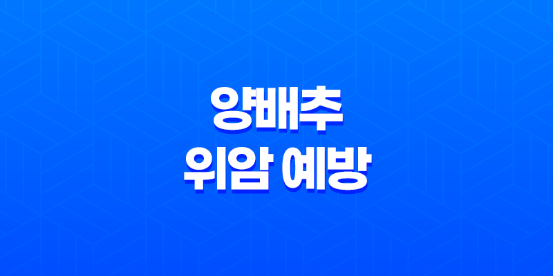 양배추, 위암 예방에 탁월한 음식 8 양배추, 위암 예방에 탁월한 음식 7