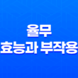 율무의 다양한 효능과 부작용, 건강을 챙기는 놀라운 곡물 21