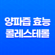 양파즙 효능 콜레스테롤 13