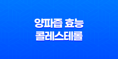 양파즙 효능 콜레스테롤 47