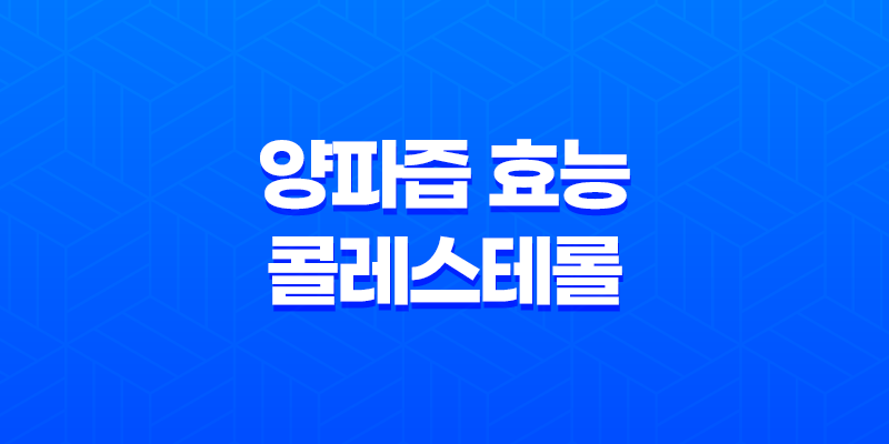 양파즙 효능 콜레스테롤 7