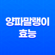 양파말랭이의 효능과 만드는 법 45