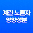 계란 노른자의 영양성분, 건강을 위한 완벽한 선택 39