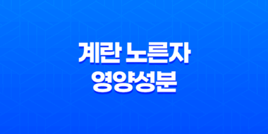 계란 노른자의 영양성분, 건강을 위한 완벽한 선택 55