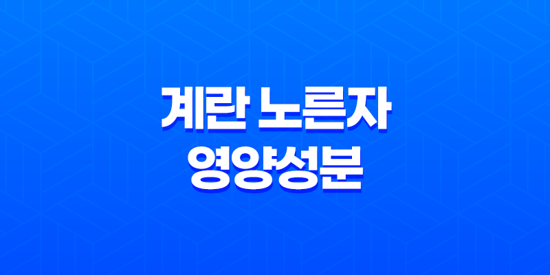 계란 노른자의 영양성분, 건강을 위한 완벽한 선택 7