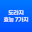 도라지의 효능 7가지 알아보기 17