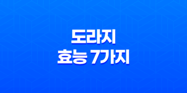 도라지의 효능 7가지 알아보기 53