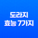 도라지의 효능 7가지 알아보기 17