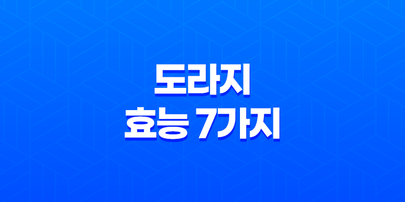 도라지의 효능 7가지 알아보기 8 도라지의 효능 7가지 알아보기 7