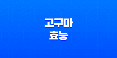 고구마 효능 및 건강에 미치는 다양한 영향 39