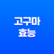 고구마 효능 및 건강에 미치는 다양한 영향 15
