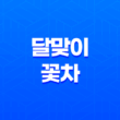 달맞이 꽃차, 자연의 선물로 건강 더하기 31