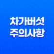 차가버섯, 건강에 미치는 긍정적인 영향과 주의사항 15