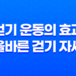 걷기 운동의 효과와 올바른 걷기 자세 19