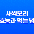 새싹보리의 효능과 먹는 법 - 건강을 위한 5가지 이유 27