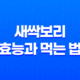 새싹보리의 효능과 먹는 법 - 건강을 위한 5가지 이유 29