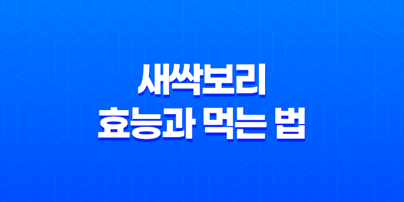새싹보리의 효능과 먹는 법 - 건강을 위한 5가지 이유 8 새싹보리의 효능과 먹는 법 - 건강을 위한 5가지 이유 7
