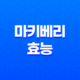마키베리 효능 및 부작용 17