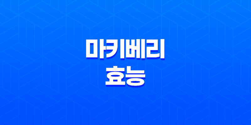 마키베리 효능 및 부작용 8 마키베리 효능 및 부작용 7