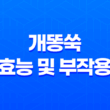 개똥쑥 효능 및 부작용, 개똥쑥 먹는 방법 15