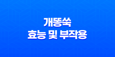 개똥쑥 효능 및 부작용, 개똥쑥 먹는 방법 51