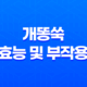 개똥쑥 효능 및 부작용, 개똥쑥 먹는 방법 25