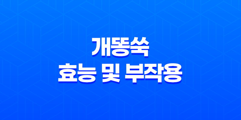 개똥쑥 효능 및 부작용, 개똥쑥 먹는 방법 7