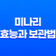 미나리의 효능과 보관법, 봄철 건강의 비밀 25