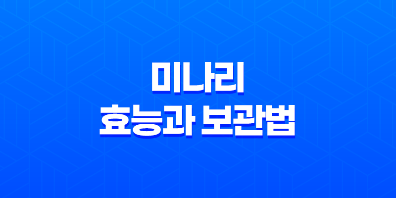 미나리의 효능과 보관법, 봄철 건강의 비밀 8 미나리의 효능과 보관법, 봄철 건강의 비밀 7