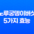 노루궁뎅이버섯 5가지 효능 알아보기 15