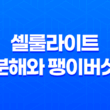 셀룰라이트 분해와 팽이버섯 17