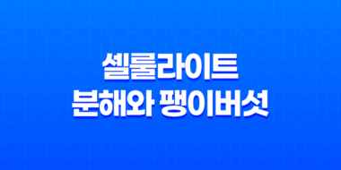 셀룰라이트 분해와 팽이버섯 27