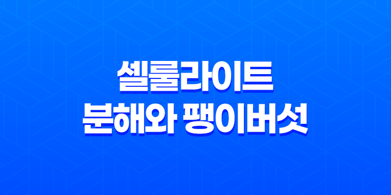셀룰라이트 분해와 팽이버섯 8 셀룰라이트 분해와 팽이버섯 7