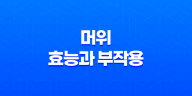 머위 효능과 부작용, 다양한 건강 효과와 주의사항 41