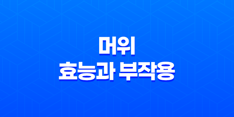 머위 효능과 부작용, 다양한 건강 효과와 주의사항 8 머위 효능과 부작용, 다양한 건강 효과와 주의사항 7