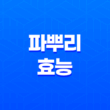 파뿌리 효능과 건강에 미치는 영향 45